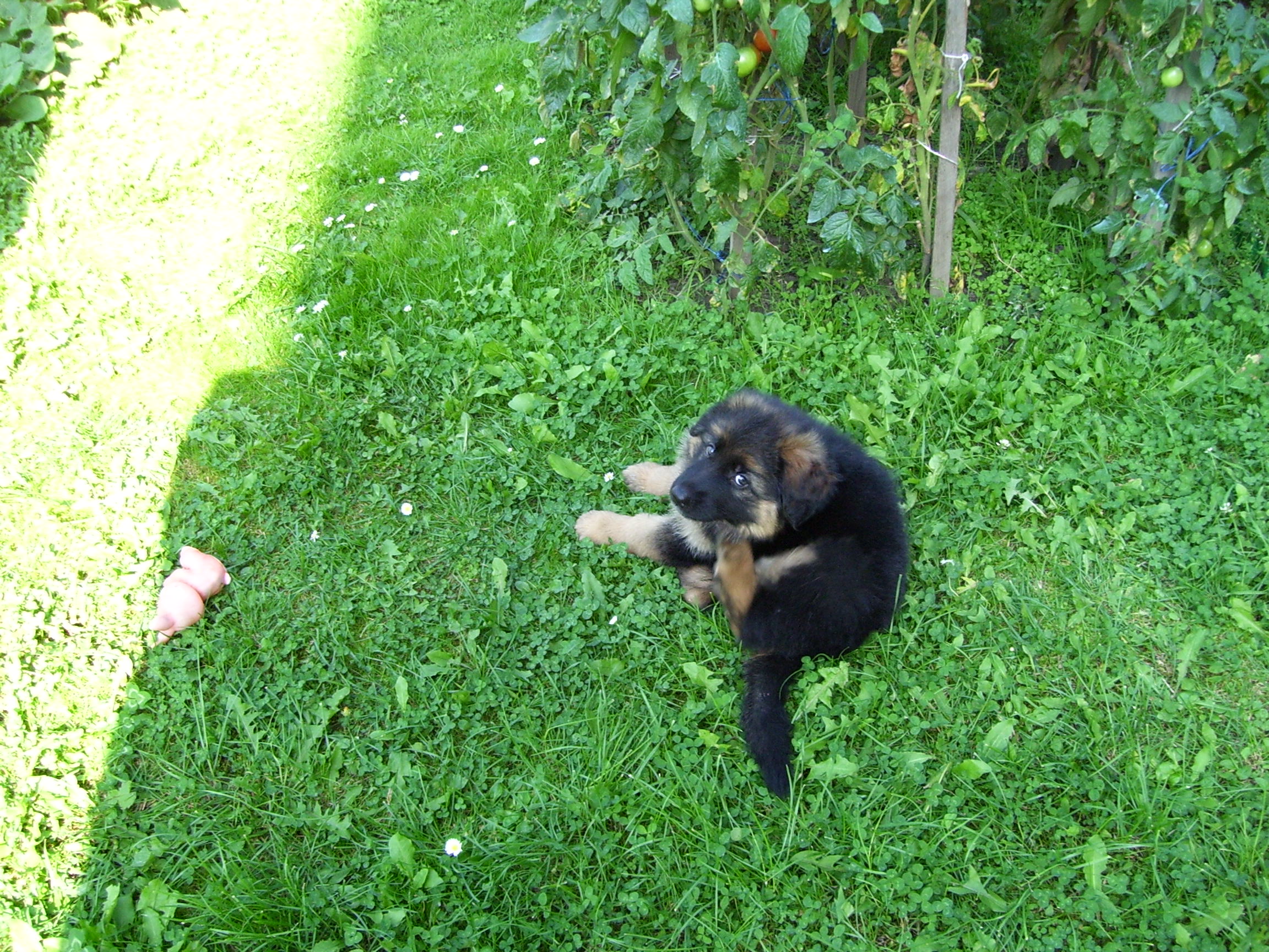 Snímek 001.jpg