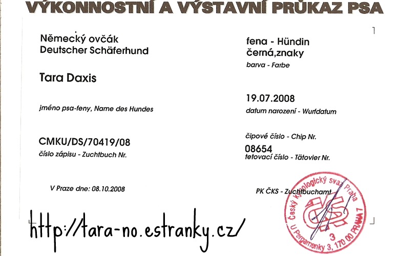 VVPP-2.gif