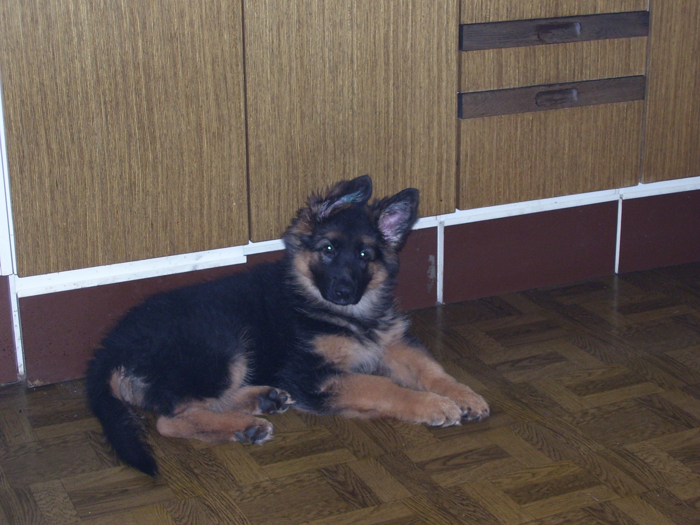 100_1580.jpg