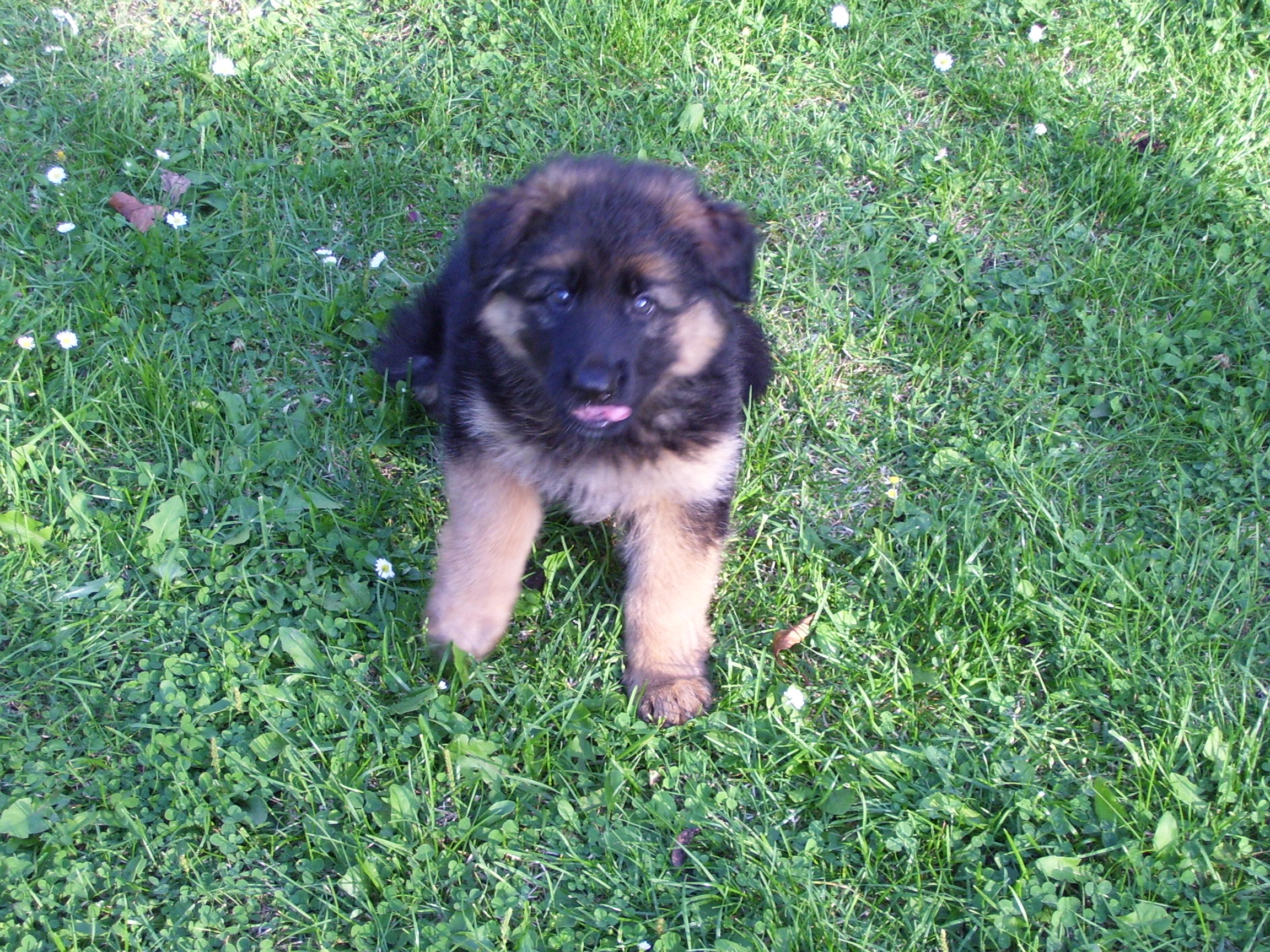 Snímek 003.jpg