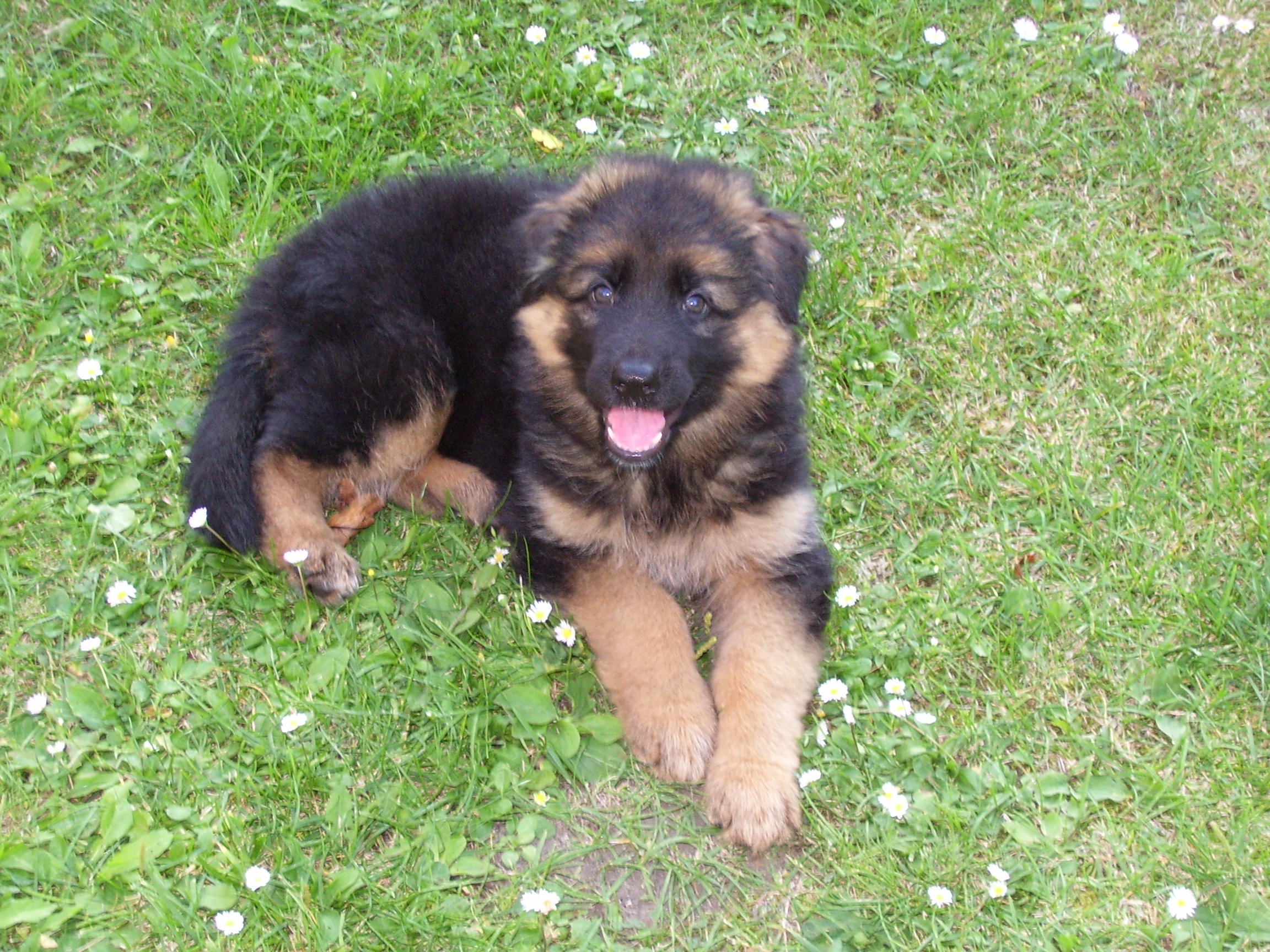 Snímek 004.jpg