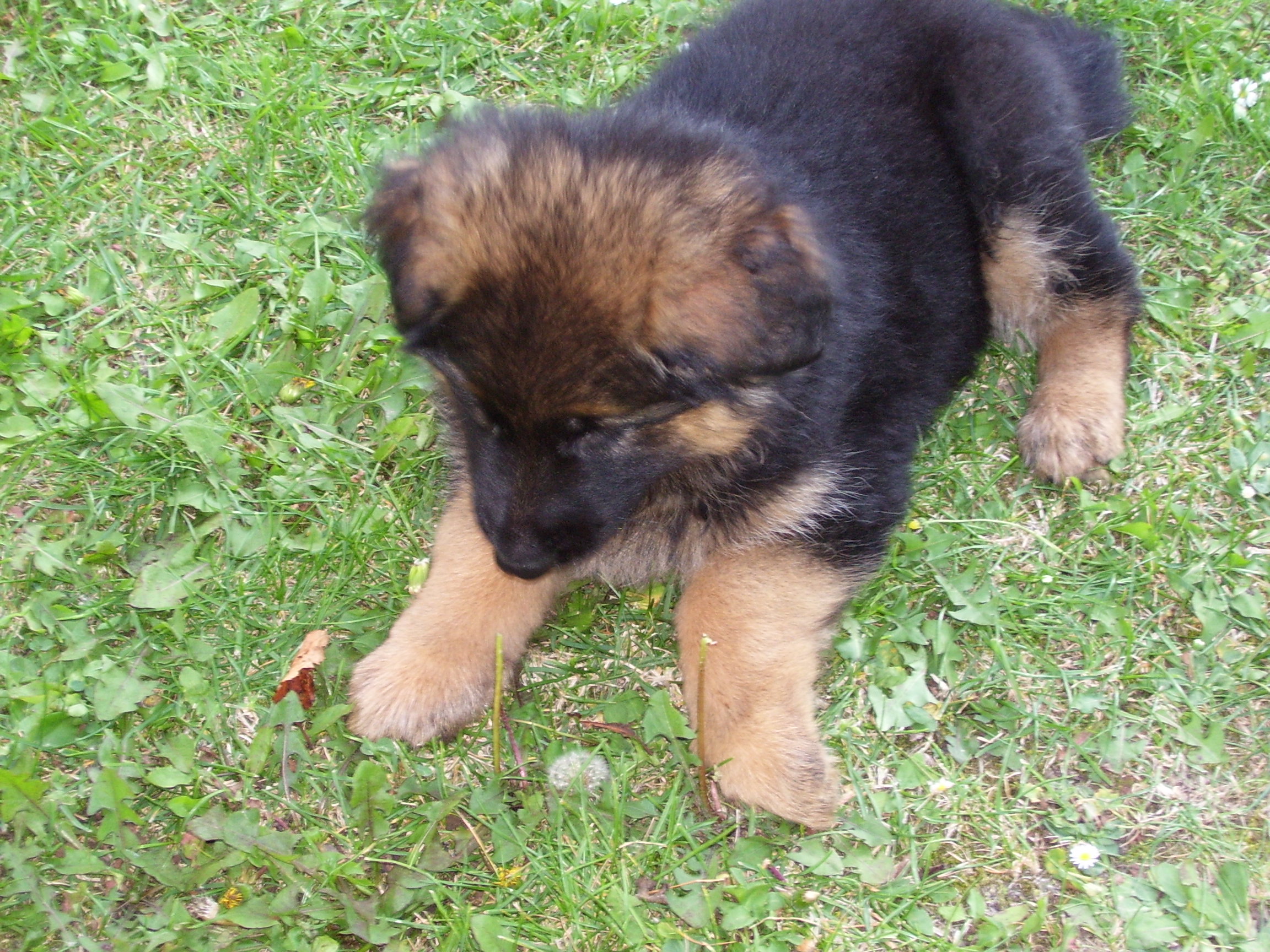 Snímek 005.jpg