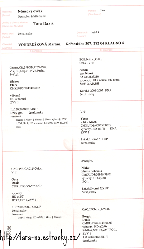 PP-2.gif